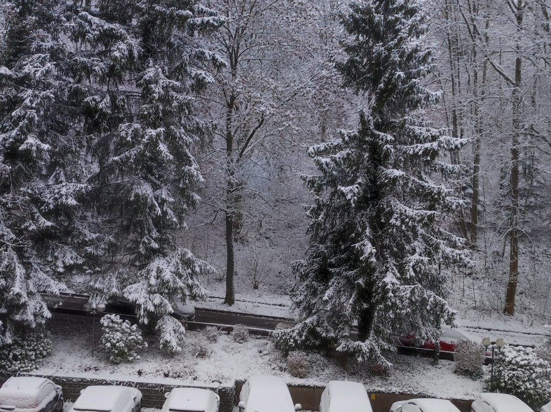 Hotel am Kurpark主图