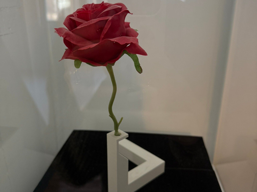 Illusion Brussels-布鲁塞尔必去景点