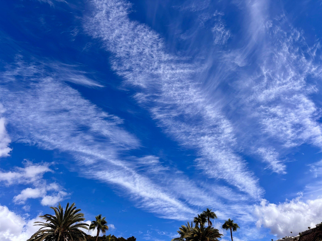 Miriam Apartments主图