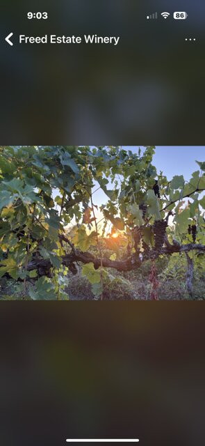 Freed Estate Winery-Winston必去景点