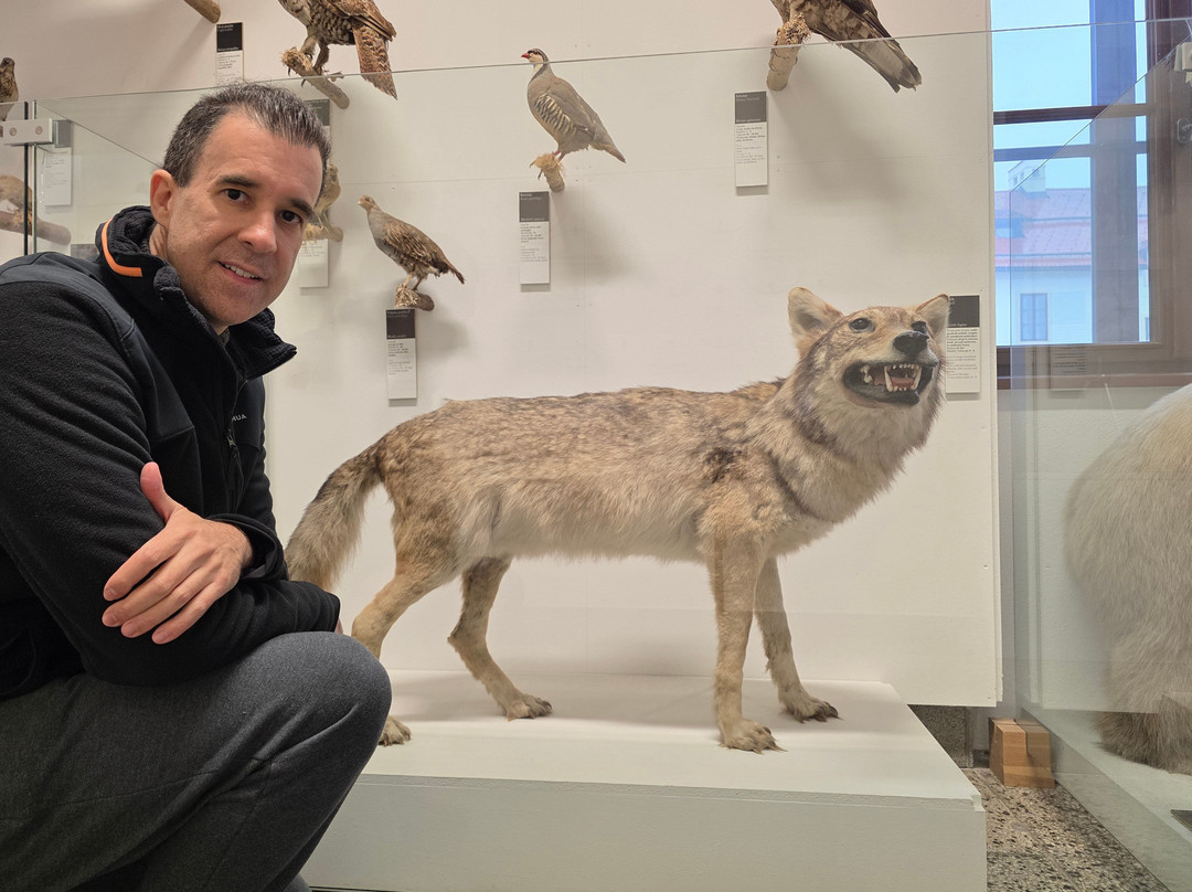 Skofja Loka Castle & Museum-Skofja Loka必去景点