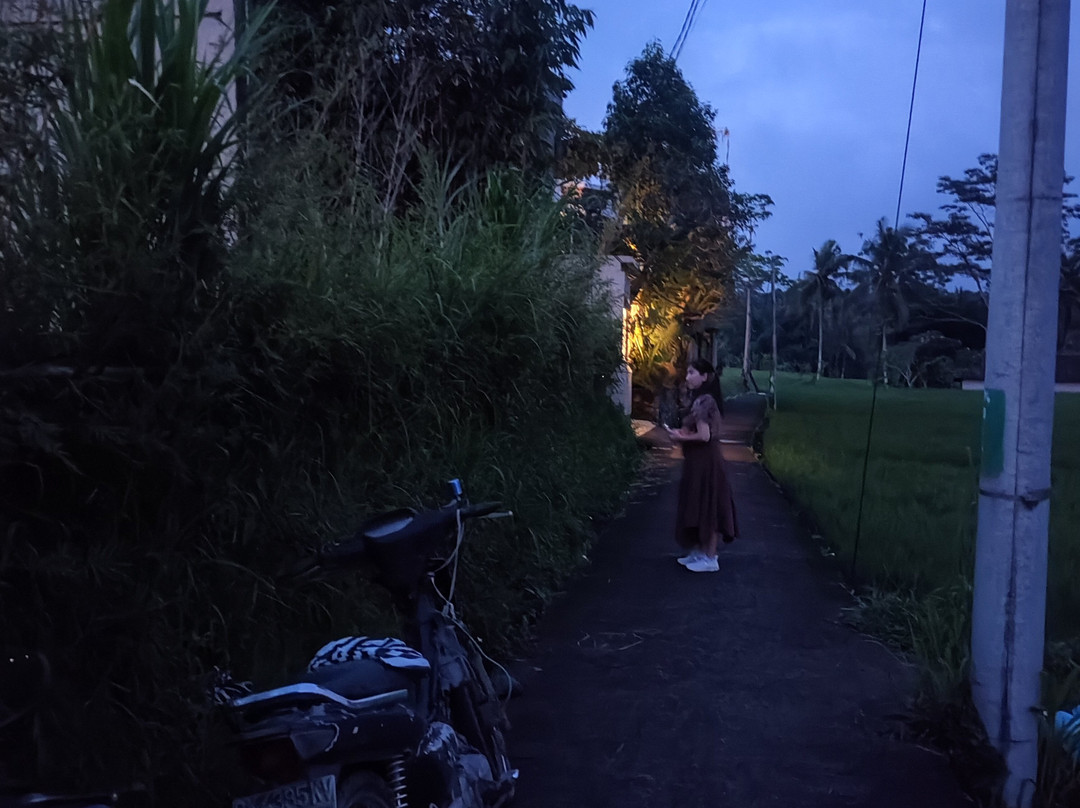 The Nenggala Suite主图