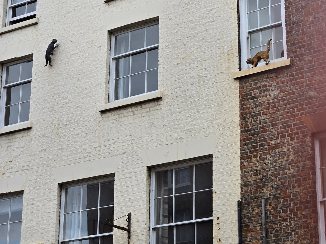 York Cat Trail-约克必去景点