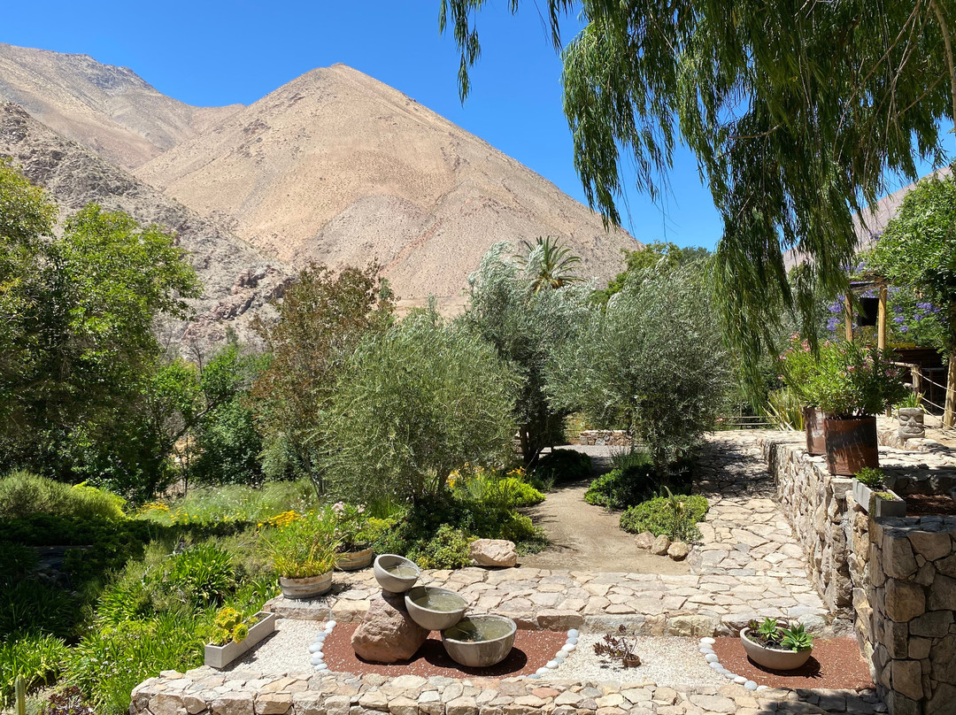 Destileria Pisco Mistral-Pisco Elqui必去景点