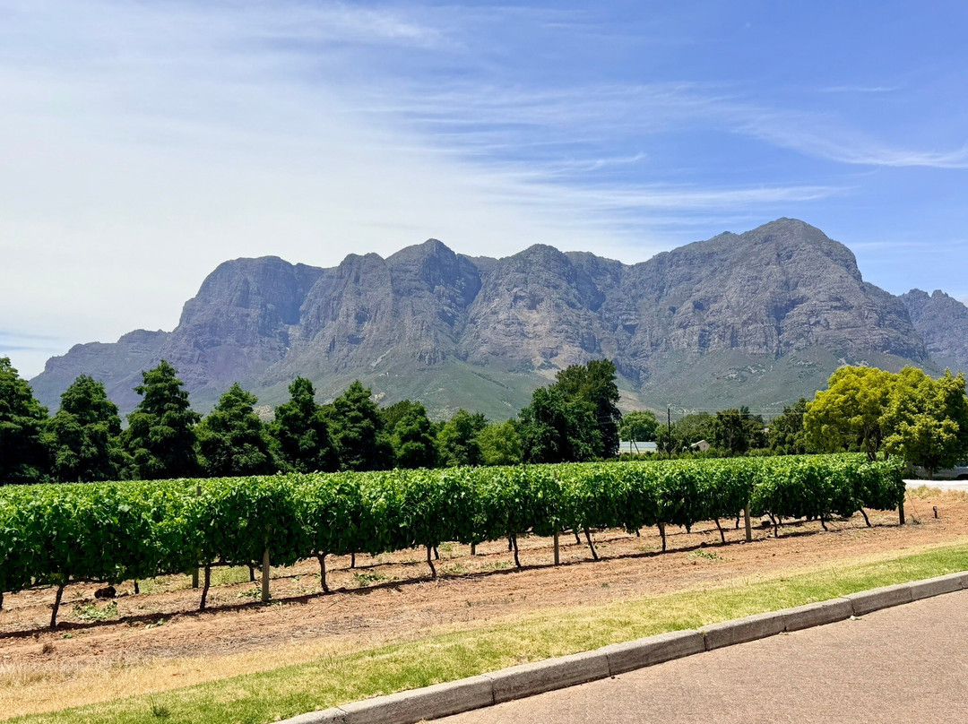 Zorgvliet Wine Estate-斯泰伦博斯必去景点