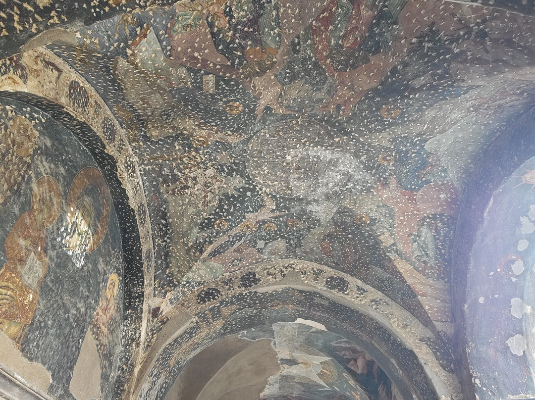 Our Lady of Ljevis-普里兹伦必去景点