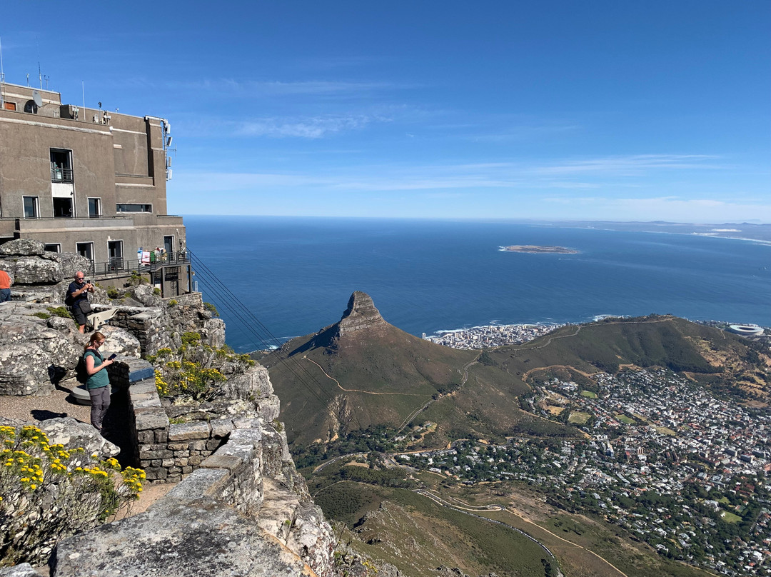 Explore the Cape Tours & Safaris-开普敦中心区必去景点