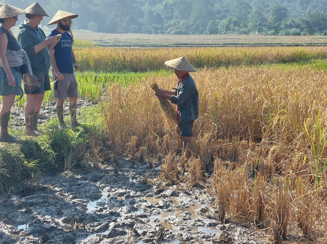 Living Land农场体验之旅-琅勃拉邦必去景点
