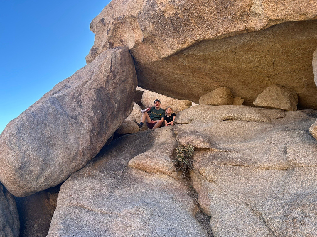 Cap Rock Trail-约书亚树国家公园必去景点