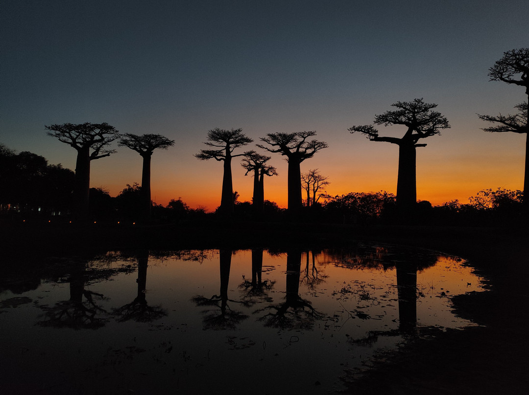 Madagascar Tour Guide-安塔那那利佛必去景点