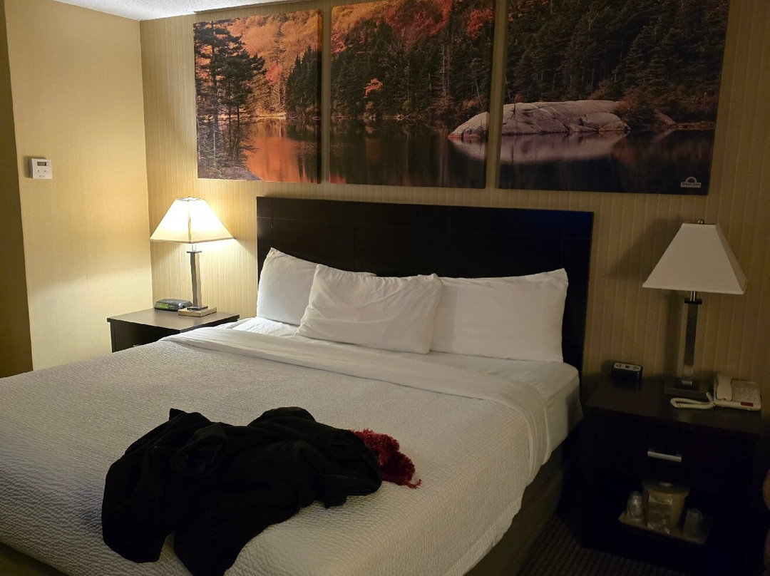 Days Inn by Wyndham Plattsburgh主图