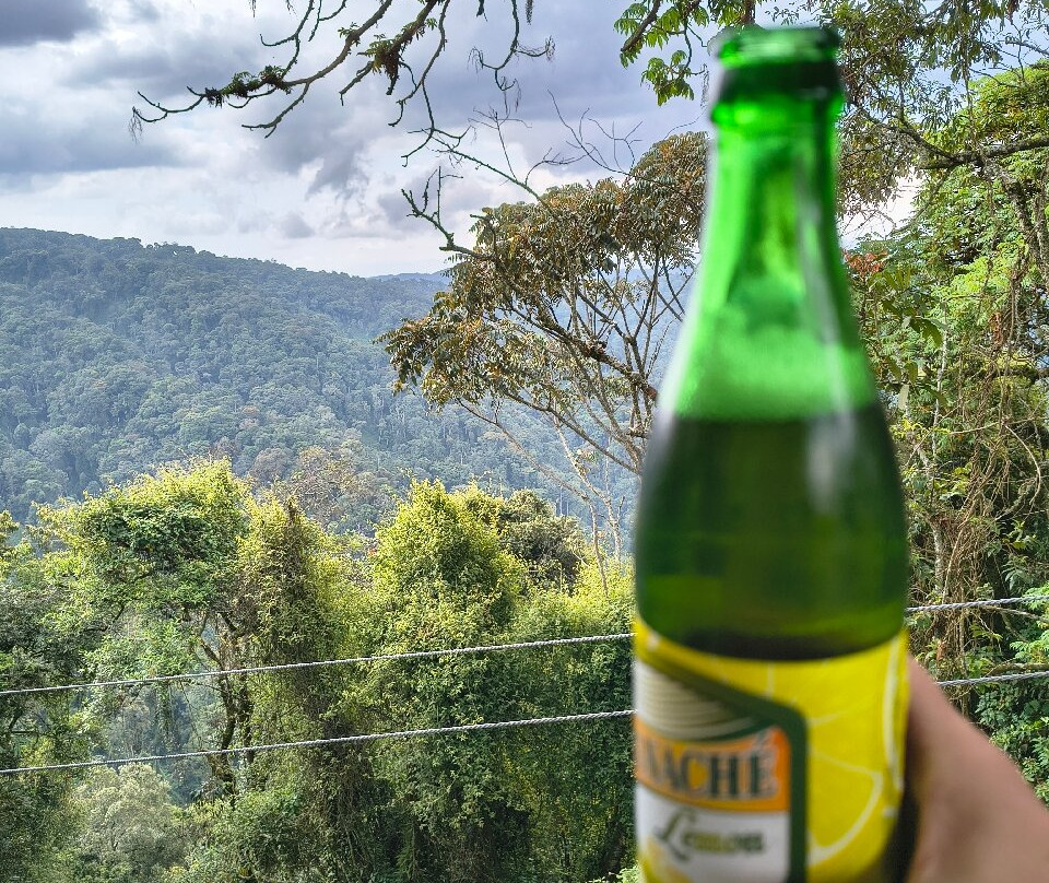 New Horizon Africa Safaris-吉佳利必去景点