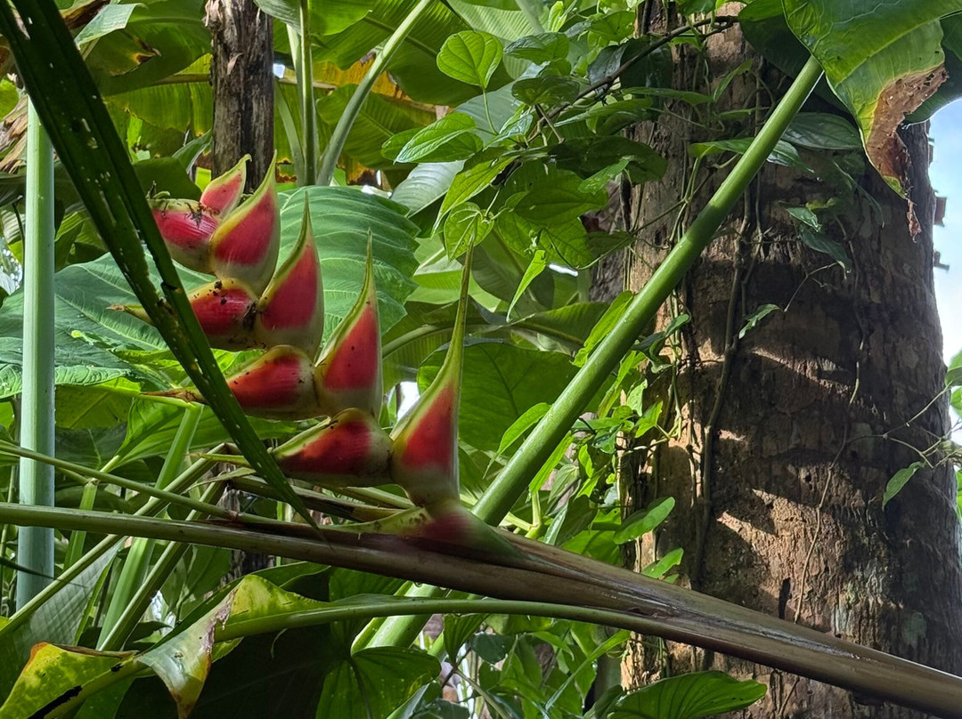 Sacred Canyon Ubud by GenuineHost
