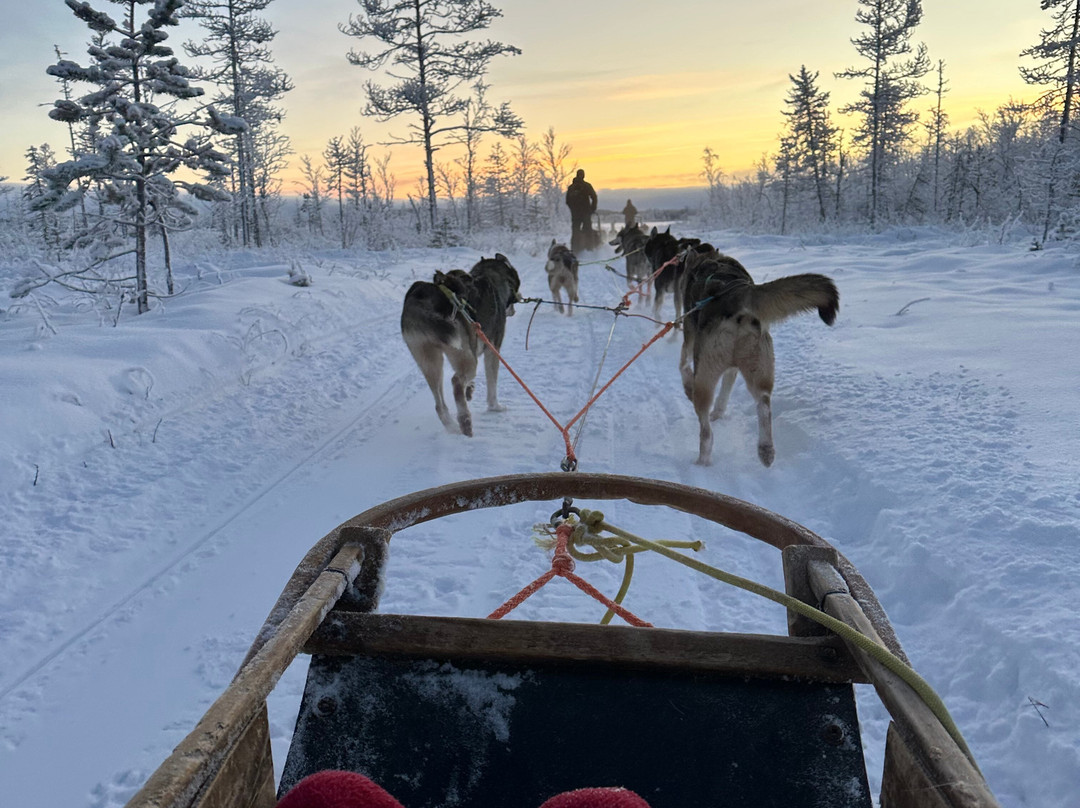 Tundra Huskies Huskyfarm-Levi必去景点