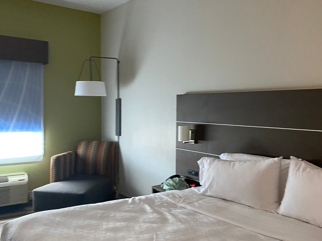 Holiday Inn Express & Suites Panama City-Tyndall by IHG主图