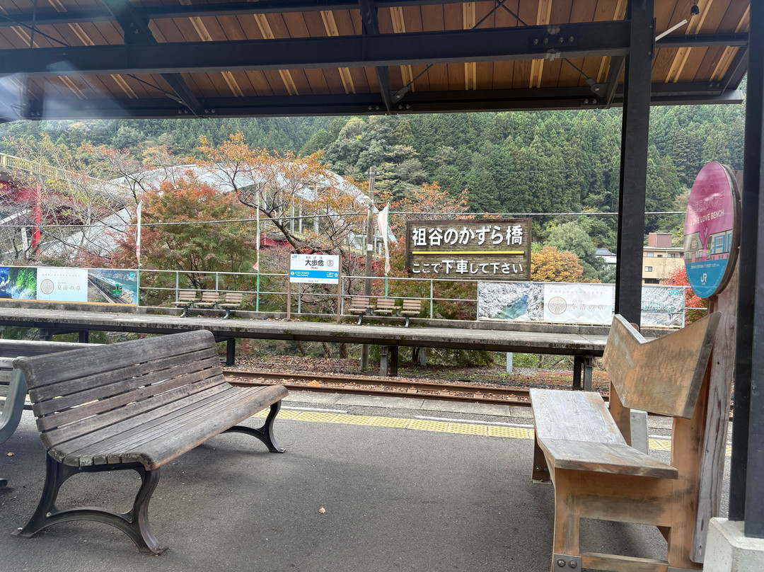 Oboke Station-三好市必去景点