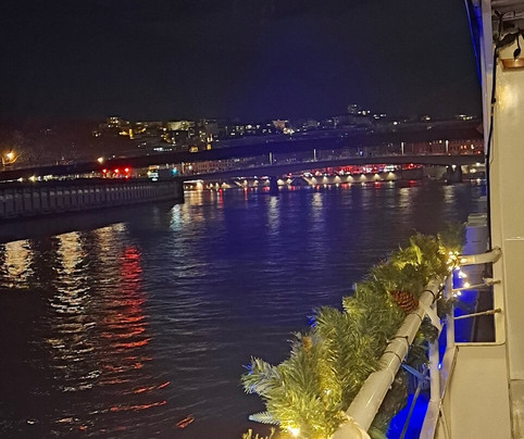 Les Bateaux Lyonnais-里昂必去景点