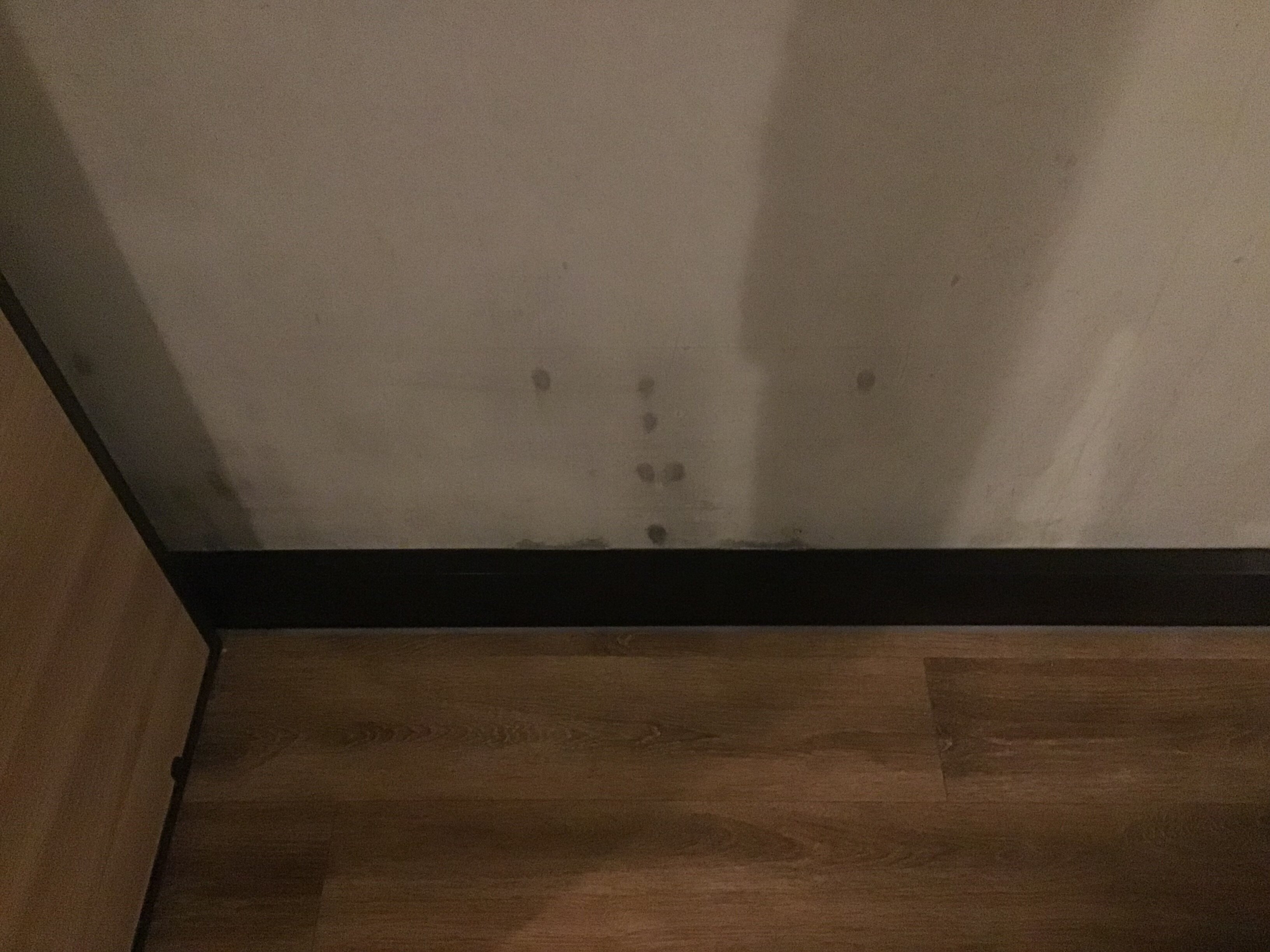 ibis Bridgwater-官方