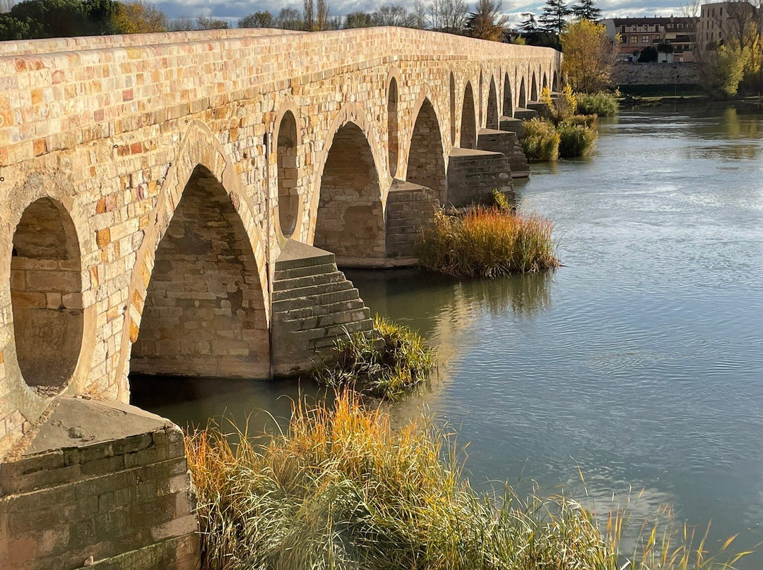 Puente de Piedra-萨莫拉必去景点