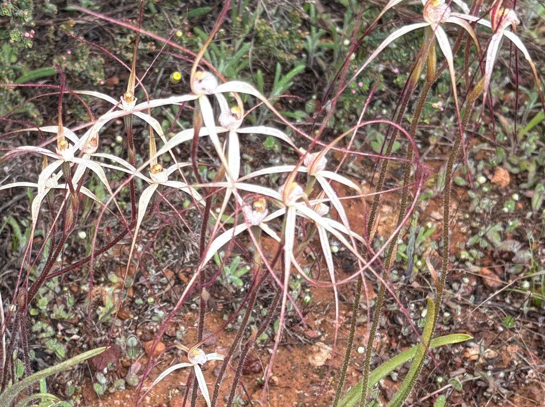 Luxury Outback Tours-珀斯必去景点