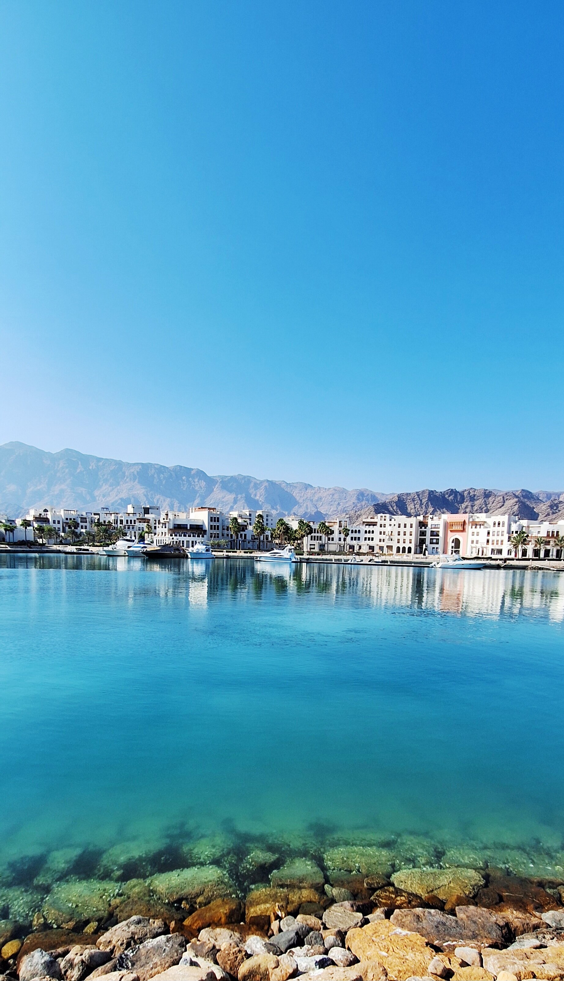 诗法薇精品酒店-官方