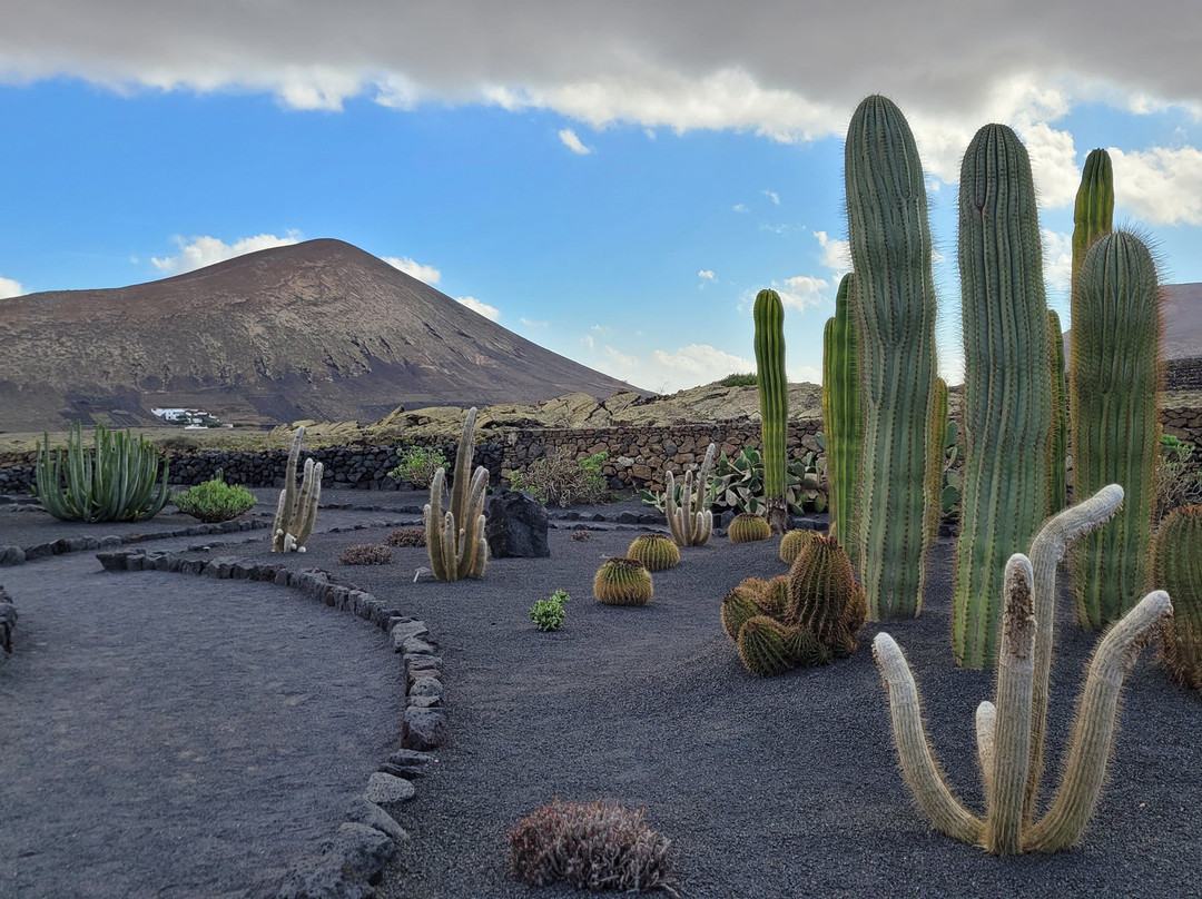 El Grifo - Museo del Vino-San Bartolome必去景点