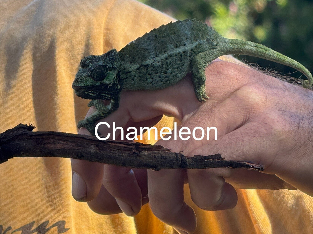 O'o Farm-库拉必去景点