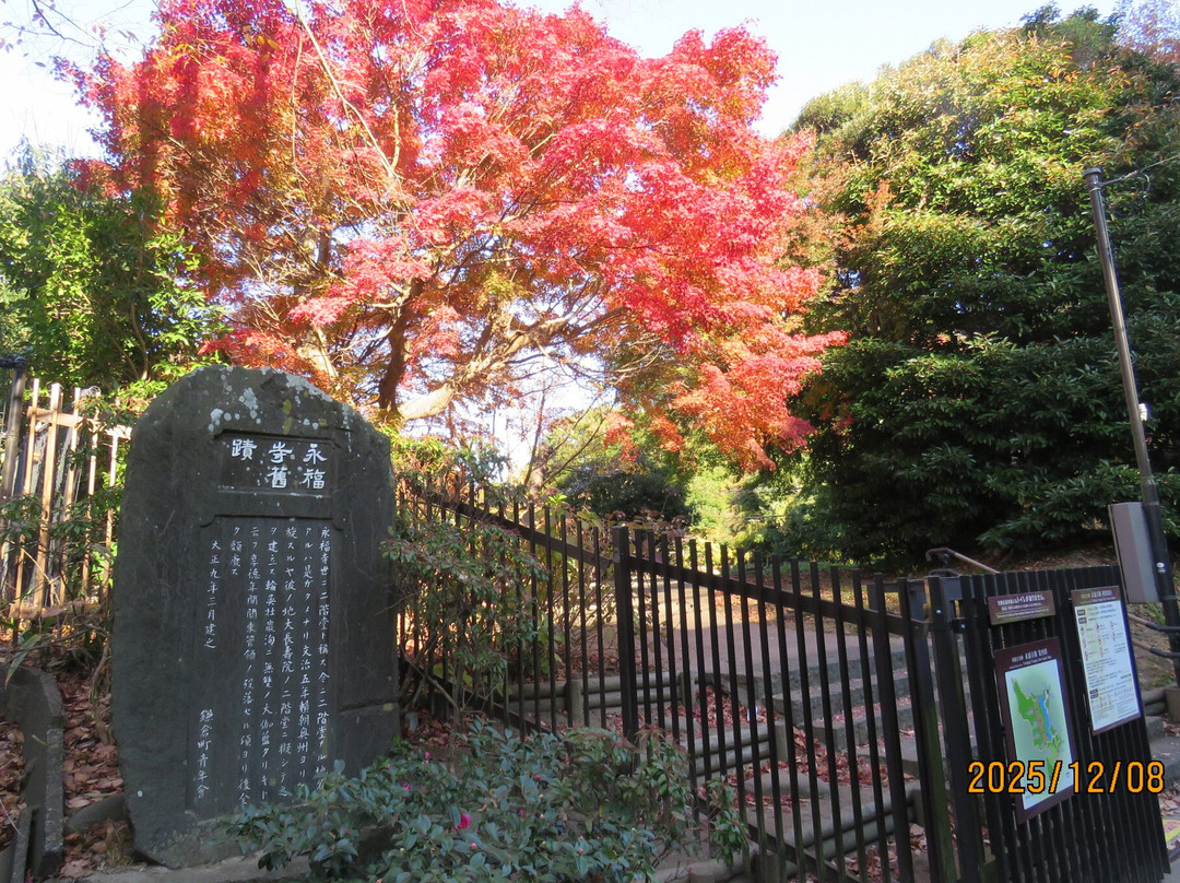 Ruins of Yofukuji Temple-镰仓市必去景点