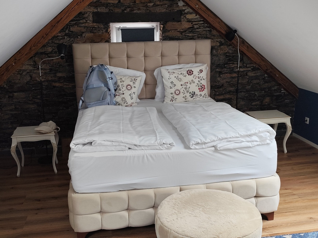 Osteria Del Vino Cochem主图