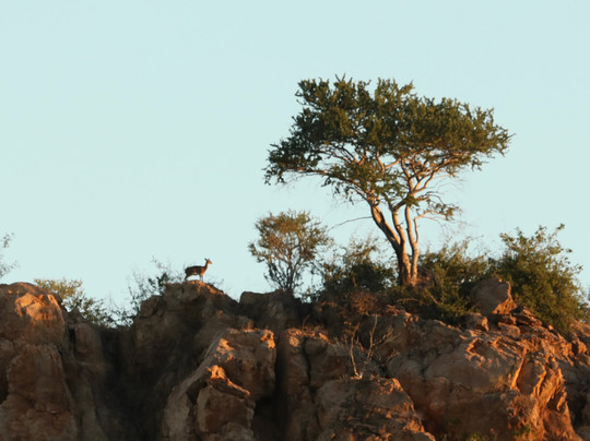 Kimburi Tours-德班必去景点