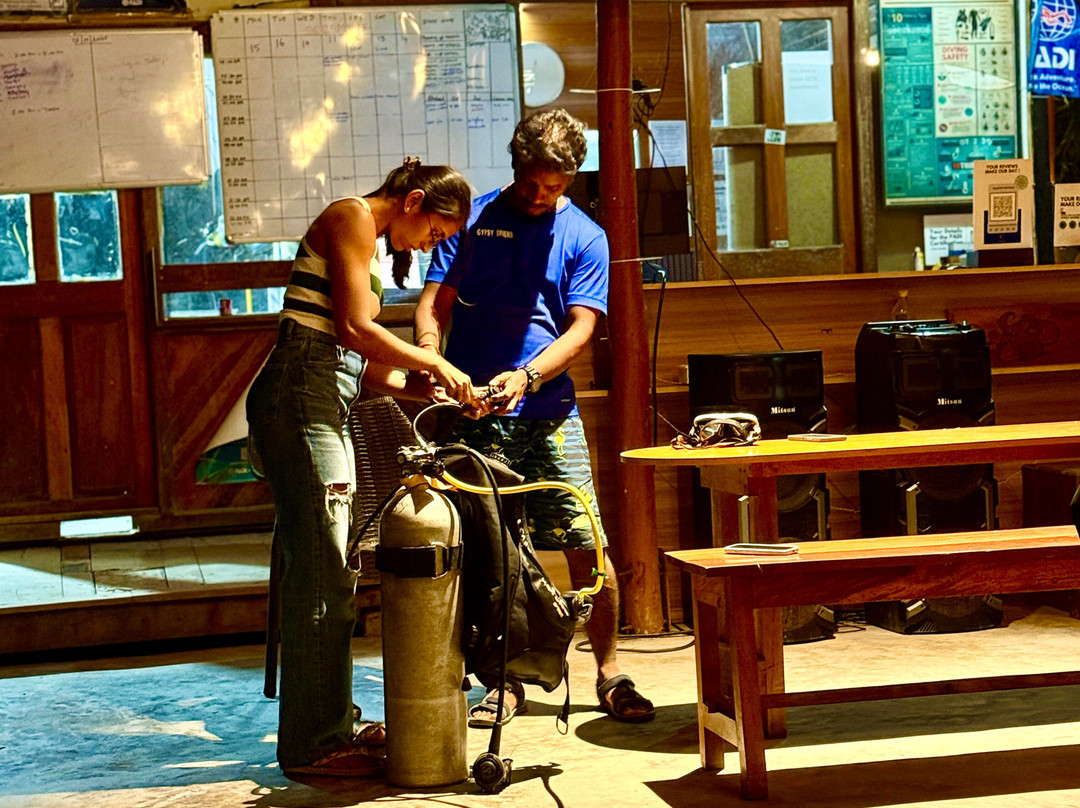 Gypsy Divers Dive Resort-哈夫洛克岛必去景点