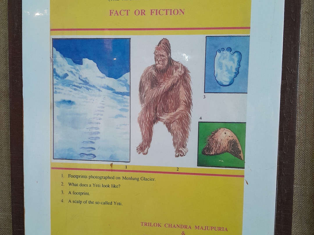 International Mountain Museum-博卡拉必去景点