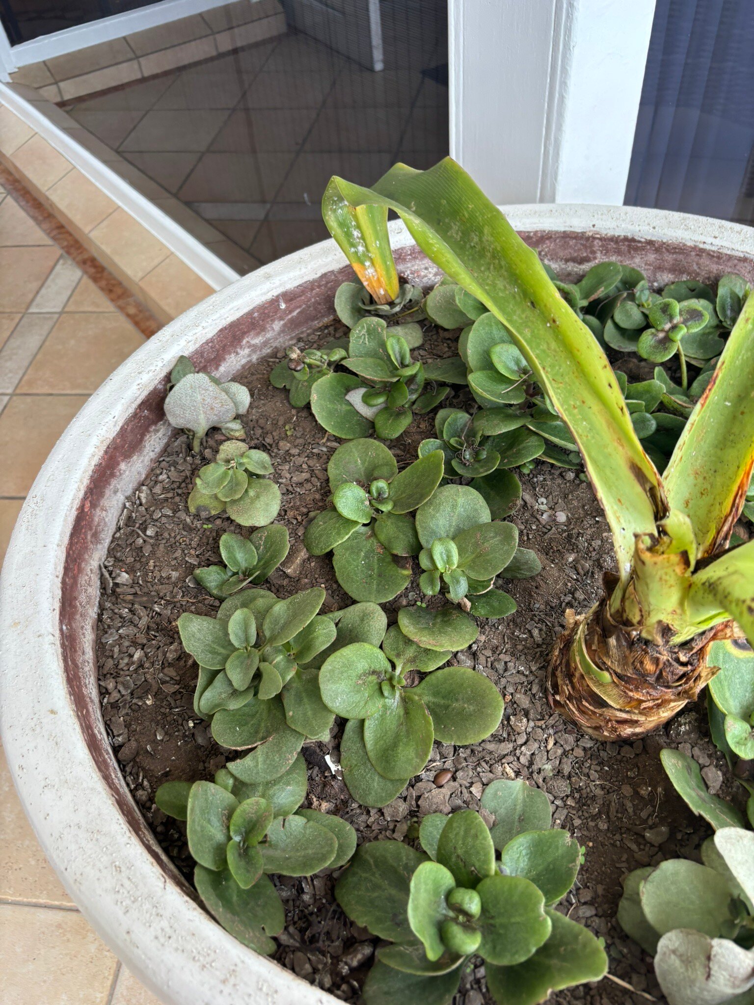 The Beverly Hills Hotel-官方