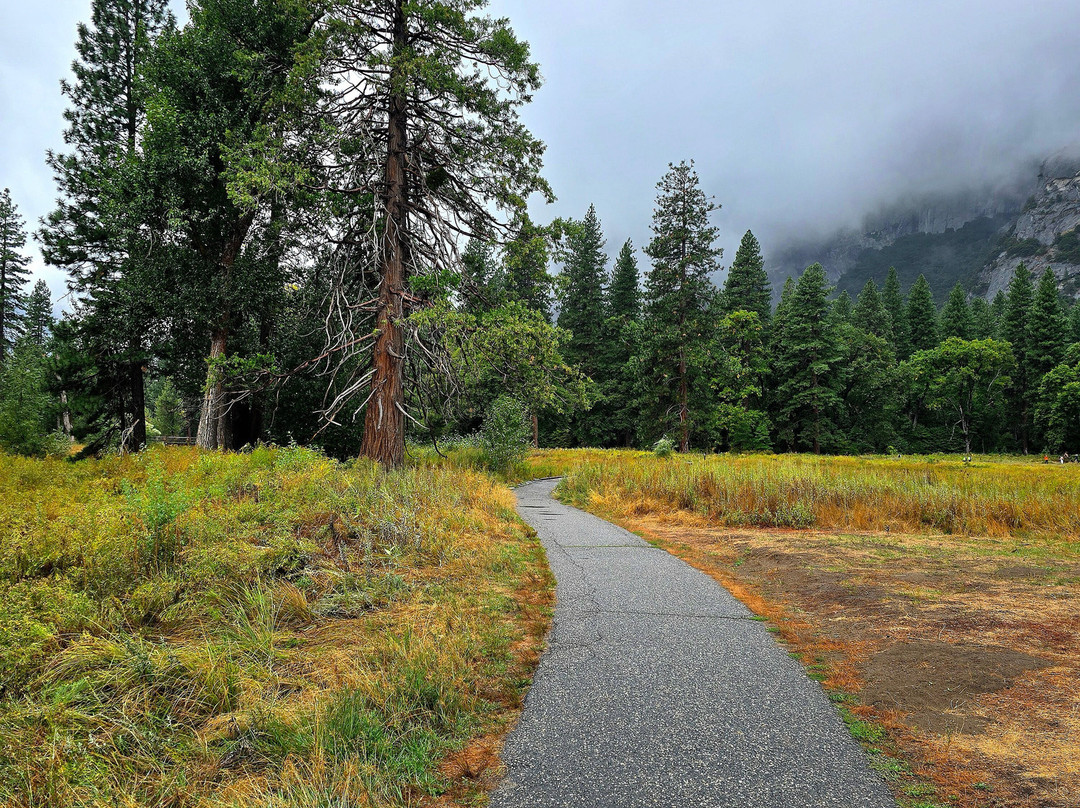 Cooks Meadow Loop-优胜美地国家公园必去景点