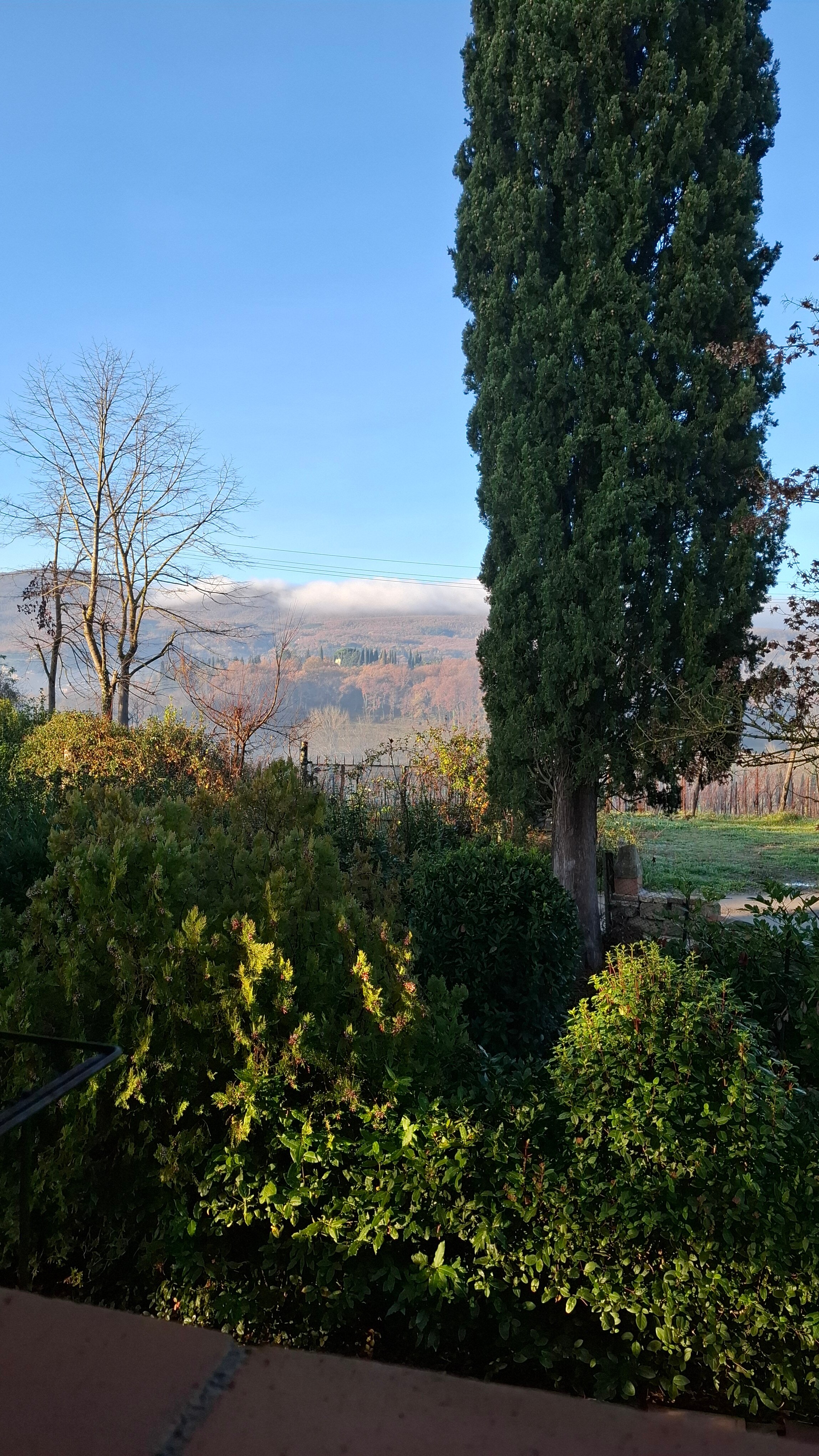 B&B Podere Lamaccia-官方