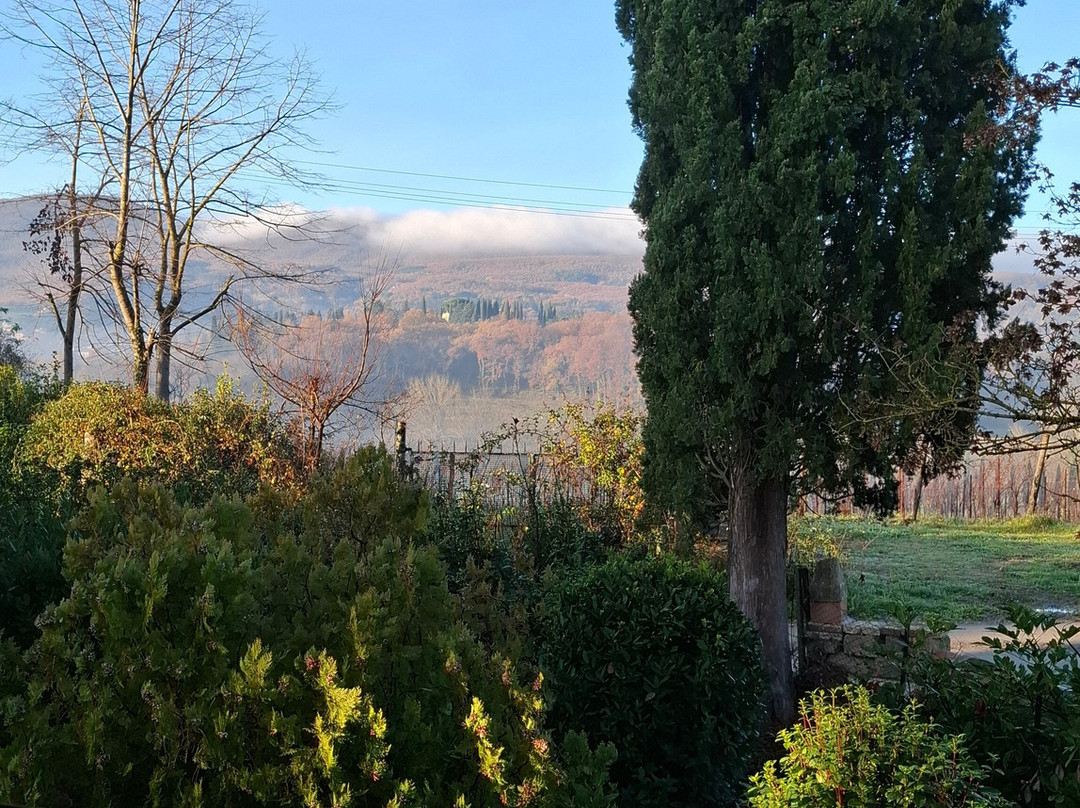 B&B Podere Lamaccia主图