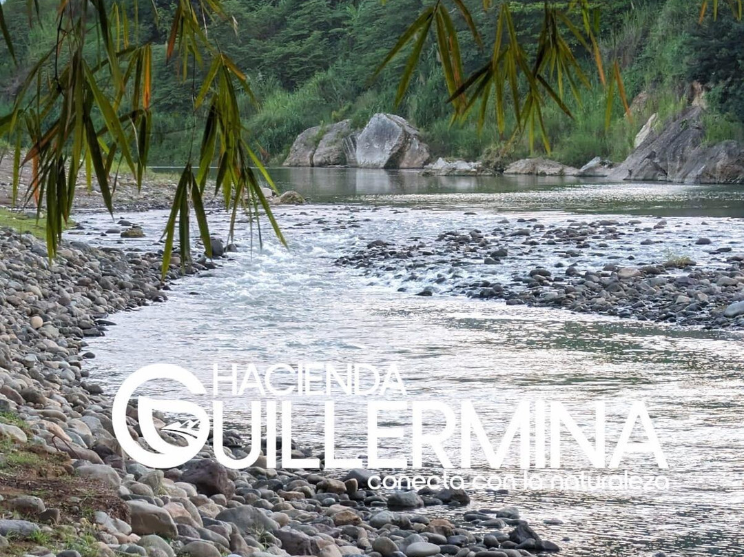 Hacienda Guillermina