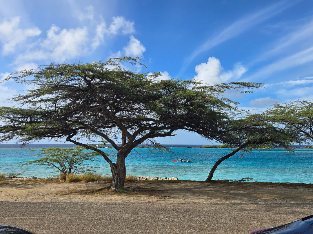Mangel Halto Beach-萨瓦内塔必去景点