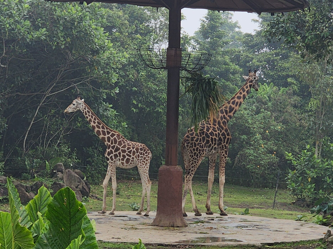 Baobab Safari Resort主图