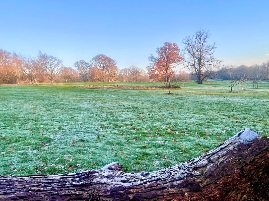 Camperdown Country Park-敦提必去景点