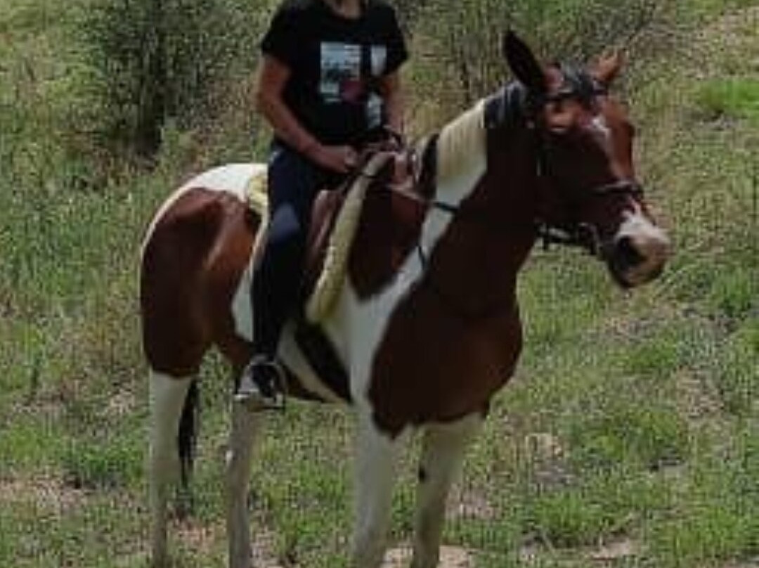 Equitrails Namibia-温德和克必去景点