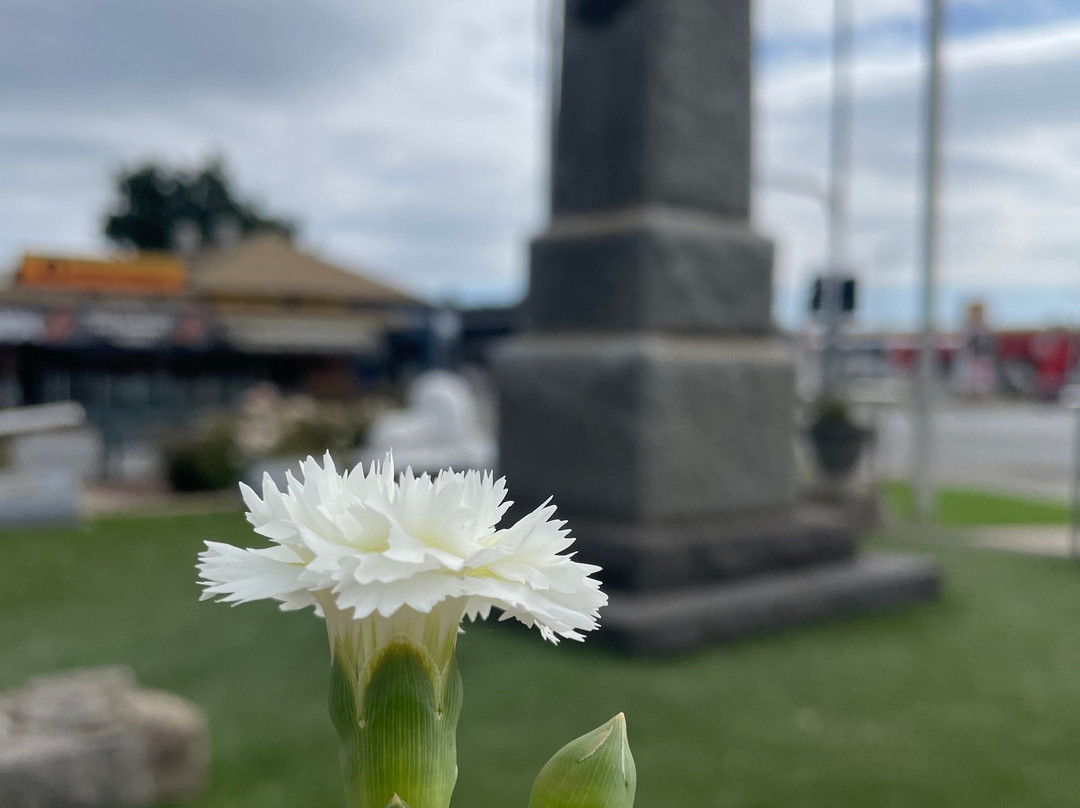 Berwick War Memorial and Plantation-伯威克必去景点