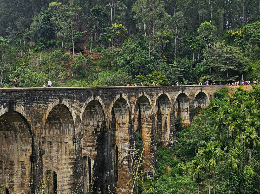 Travelers Choice To Ceylon-科伦坡必去景点