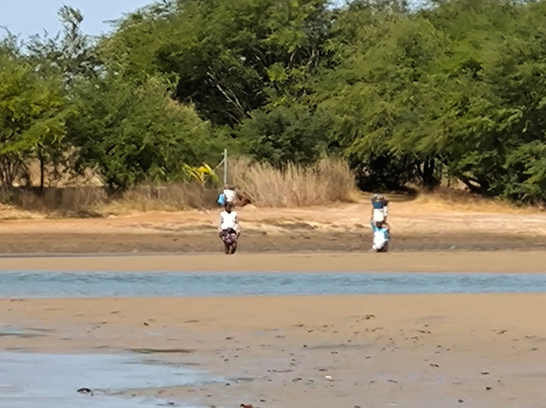 Lagune de la Somone-索蒙必去景点
