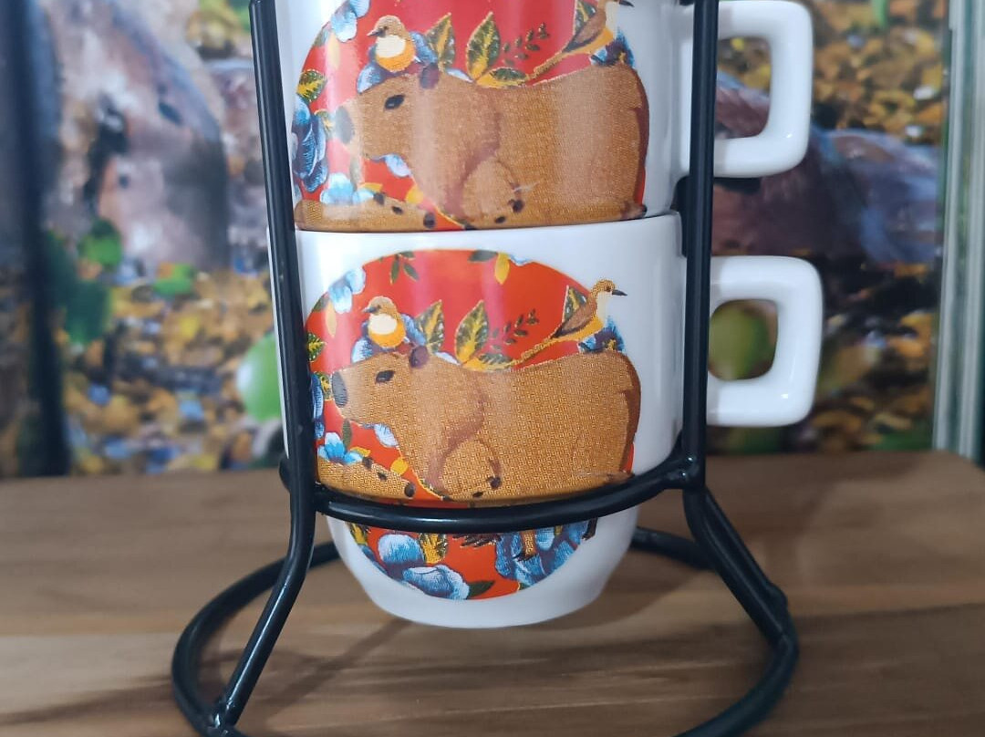 Várzea Grande Shopping-Varzea Grande必去景点