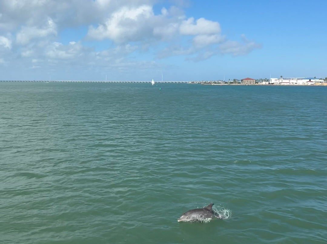 Osprey Cruises-Port Isabel必去景点