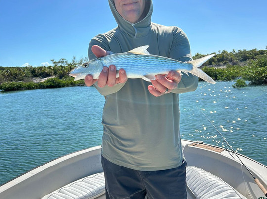 Great Guana Cay Adventures-Little Exuma必去景点