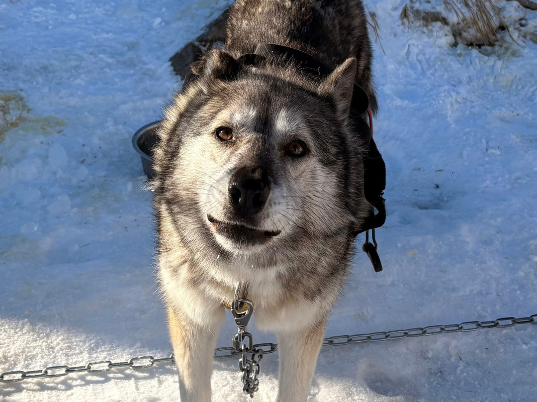 Leila'venture-Molines-en-Queyras必去景点