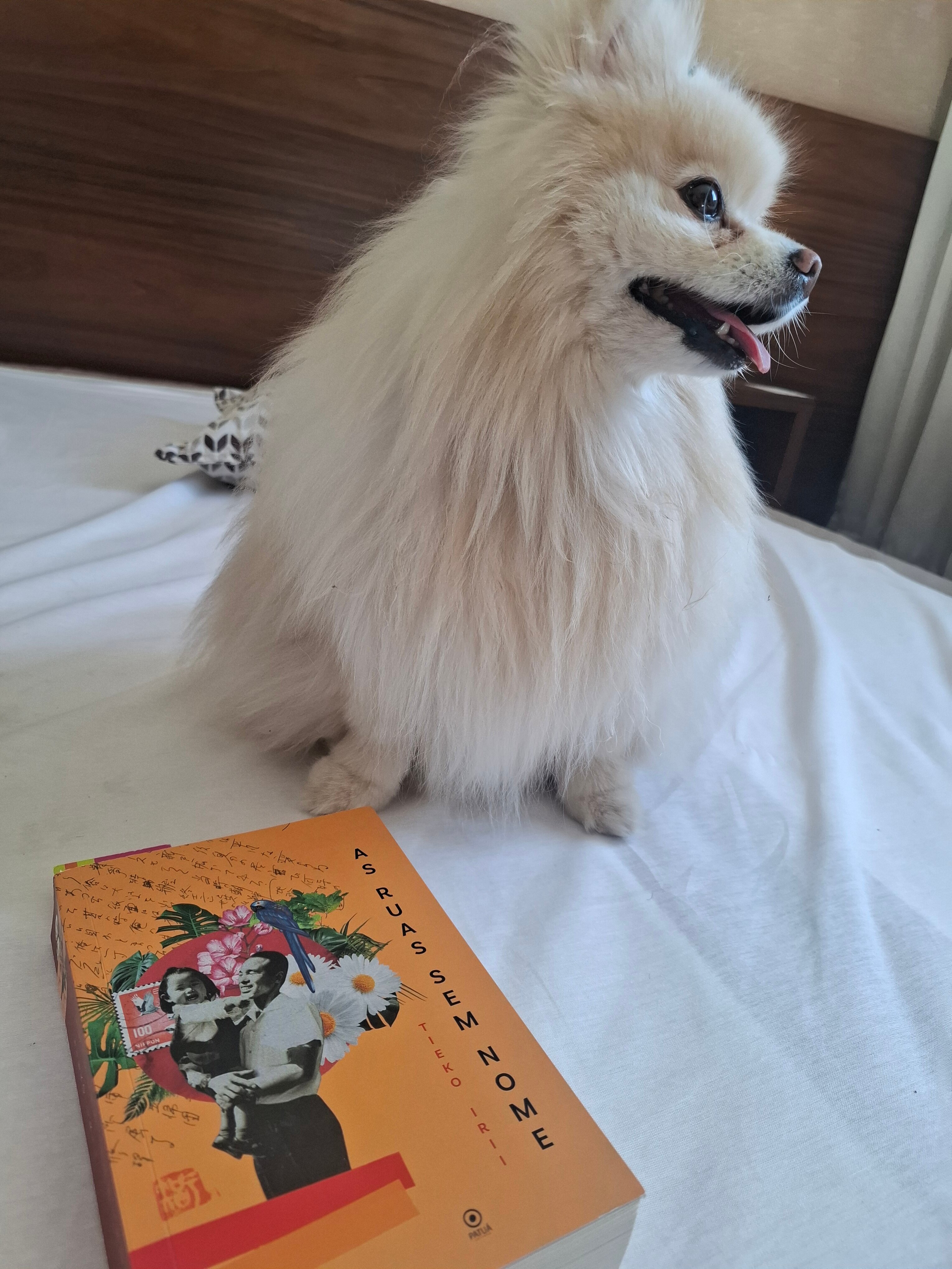 Class Hotel Pouso Alegre-客卧