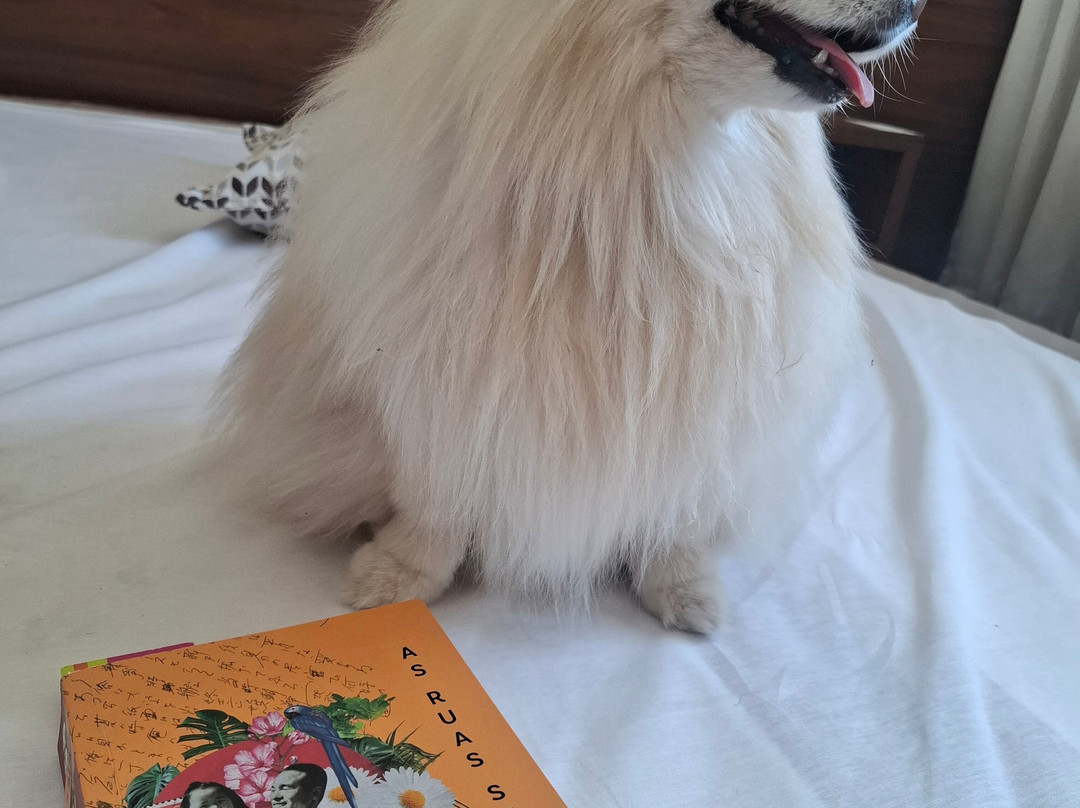 Class Hotel Pouso Alegre主图